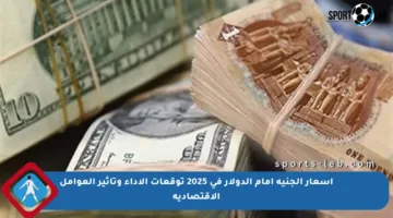 أسعار الجنيه أمام الدولار في 2025 توقعات الأداء وتأثير العوامل الاقتصادية